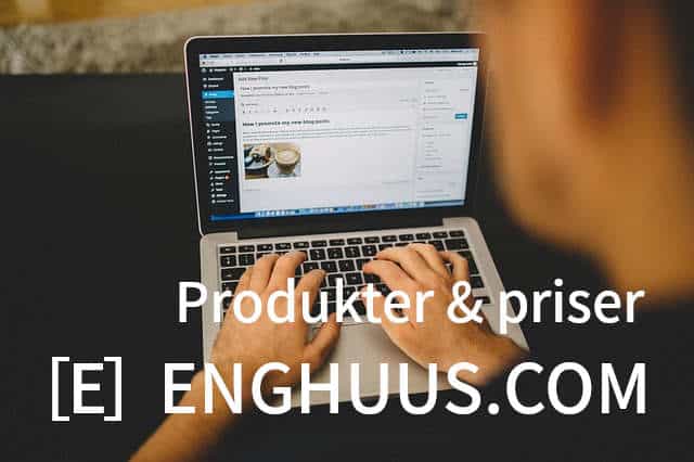 Hvad koster en hjemmeside? Webbureauet Enghuus.Com